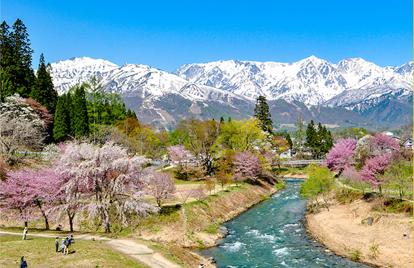 Oide Park, Hakuba